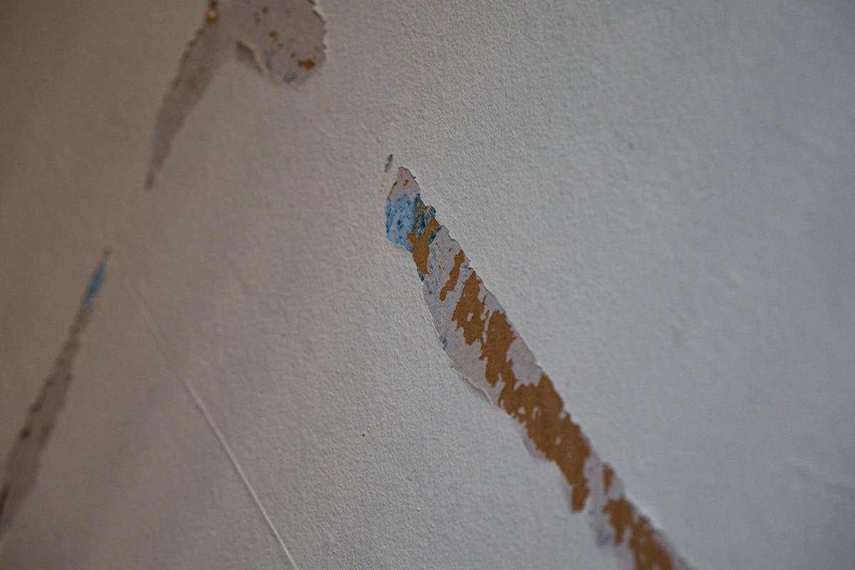 Basement Water Removal service in Decatur, AL